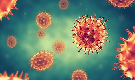 Virus - Symbolbild Virus - Symbolbild